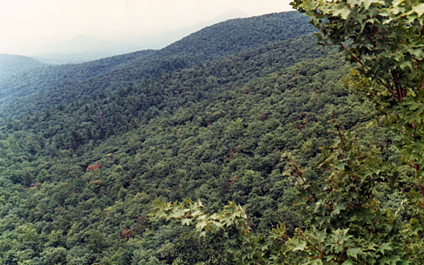 Blue Ridge Mountain scenery